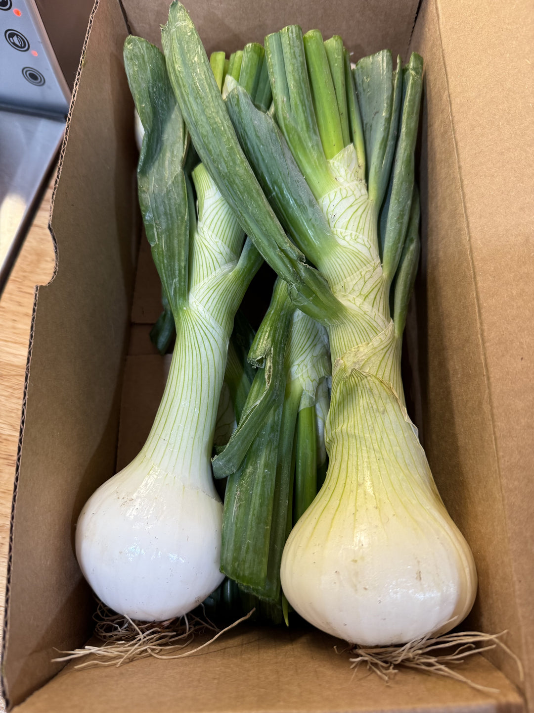 MINI Early Strawberry Onions (4 ONIONS) Strawberry Onions Parkesdale Market