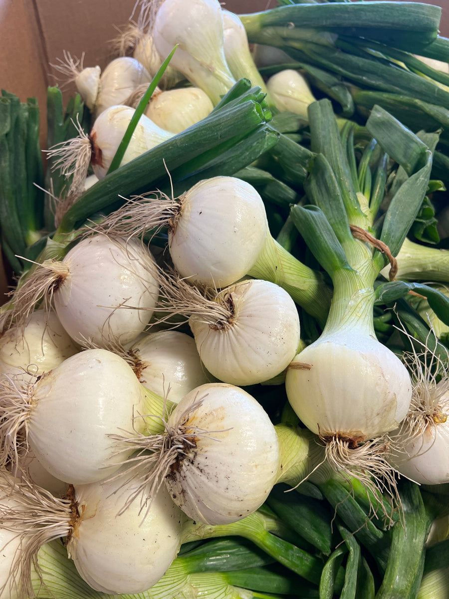 Strawberry Onions (10 onions with trimmed green tops) Strawberry Onions Parkesdale Market
