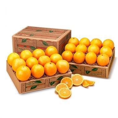 FLORIDA VALENCIA ORANGES (Shipping Included) Gift Baskets Parkesdale Market 