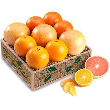 Variety Taster (Shipping Included) Gift Baskets Parkesdale Market