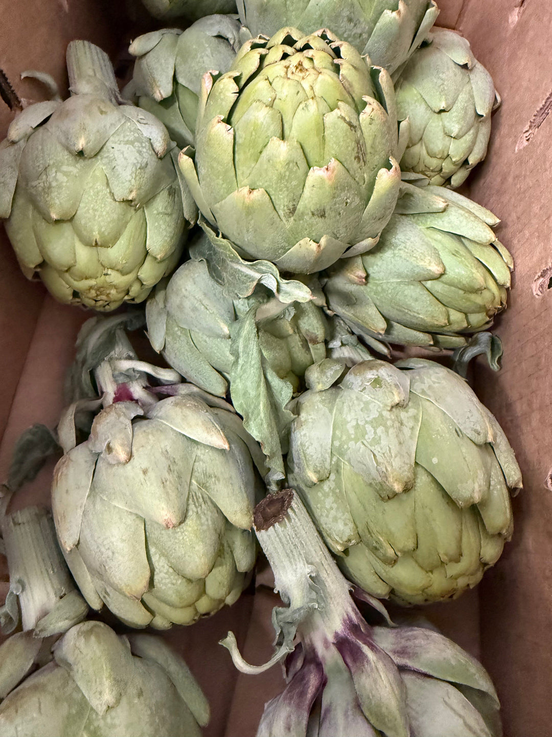 Artichoke Box Parkesdale Market 