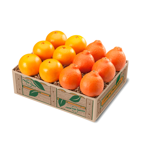 Honeybells and Navels (Shipping Included) Gift Baskets Parkesdale Market 