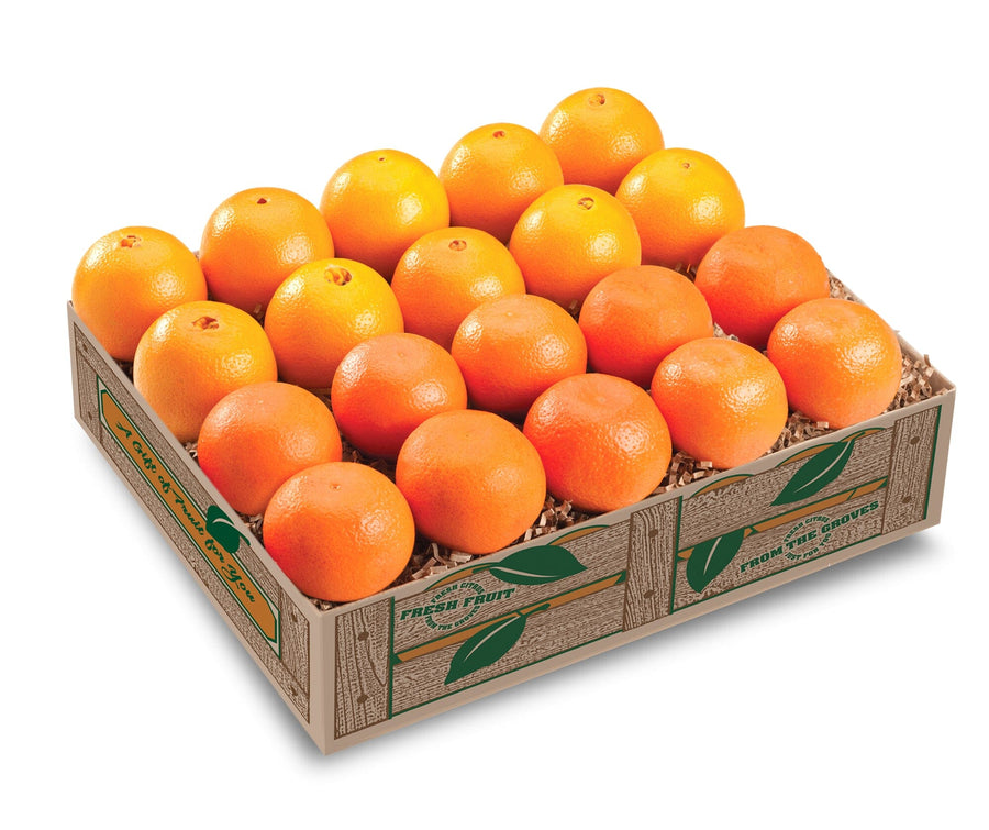 Mandarin and Petite Sweet Navel Combo (Shipping Included) Gift Baskets Parkesdale Market 
