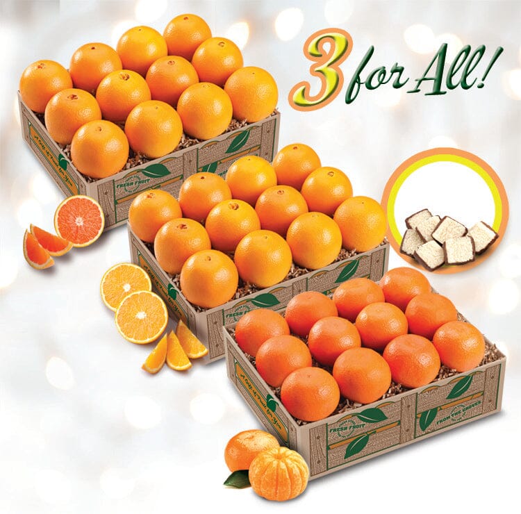 Three For All: Mandarins, Navels, and Scarlet Navels (Shipping Included) Gift Baskets Parkesdale Market 