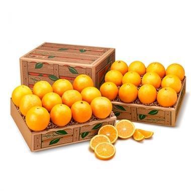 FLORIDA NAVEL ORANGES (Shipping Included) Gift Baskets Parkesdale Market 