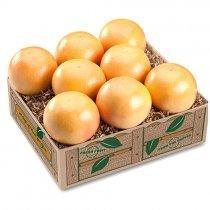 FLORIDA WHITE GRAPEFRUIT (Shipping Included) Gift Baskets Parkesdale Market 