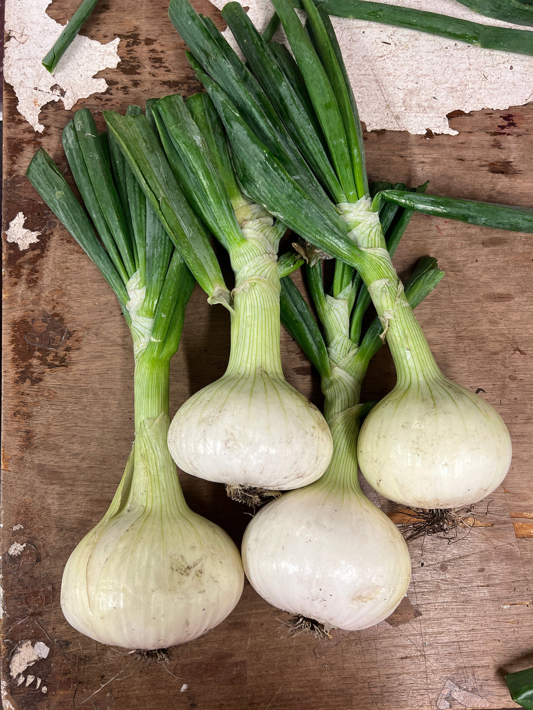 Strawberry Onions Parkesdale Market