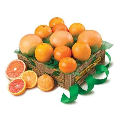 Sun-Kissed Five Sampler (Shipping Included) Gift Baskets Parkesdale Market 