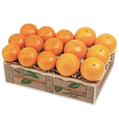Tangerines & Navels (Shipping Included) Gift Baskets Parkesdale Market 